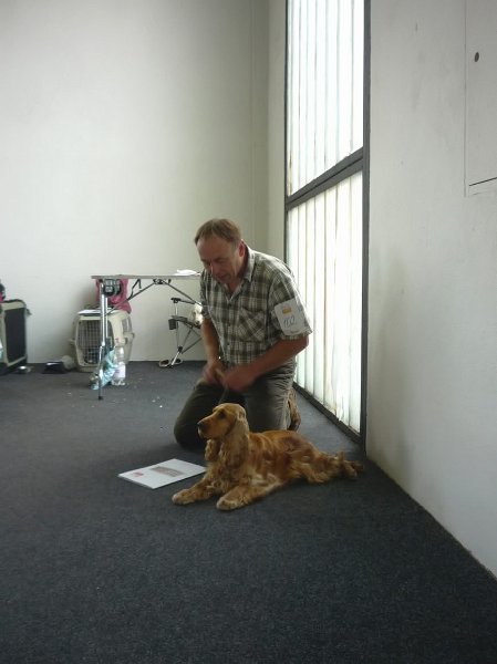 Litomerice 2009 031.jpg